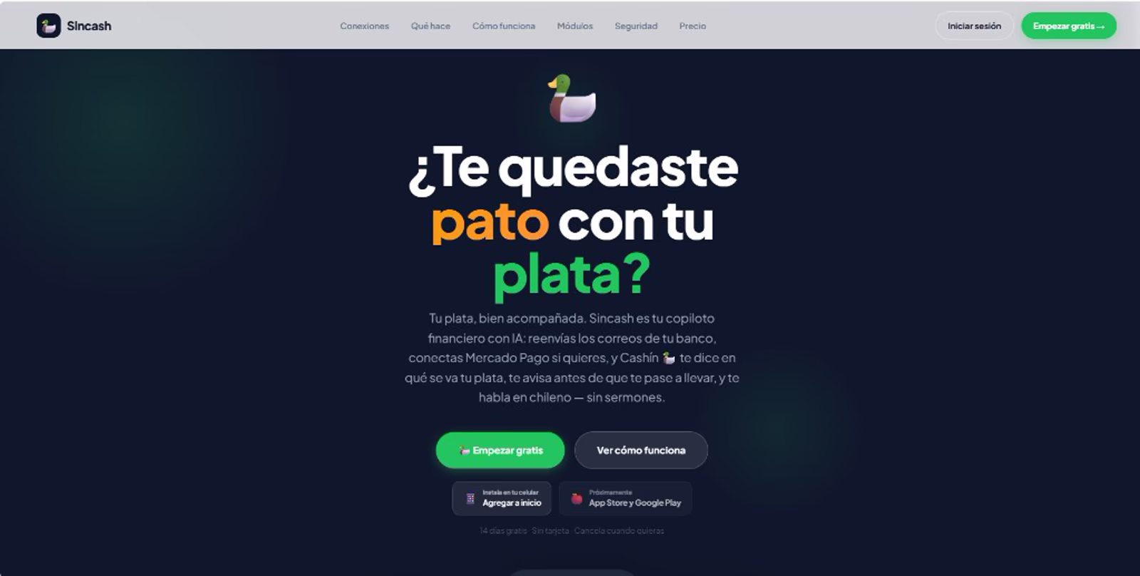 Sincash website: AI financial copilot